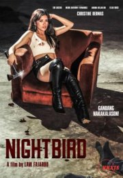 Nightbird 2023 izle